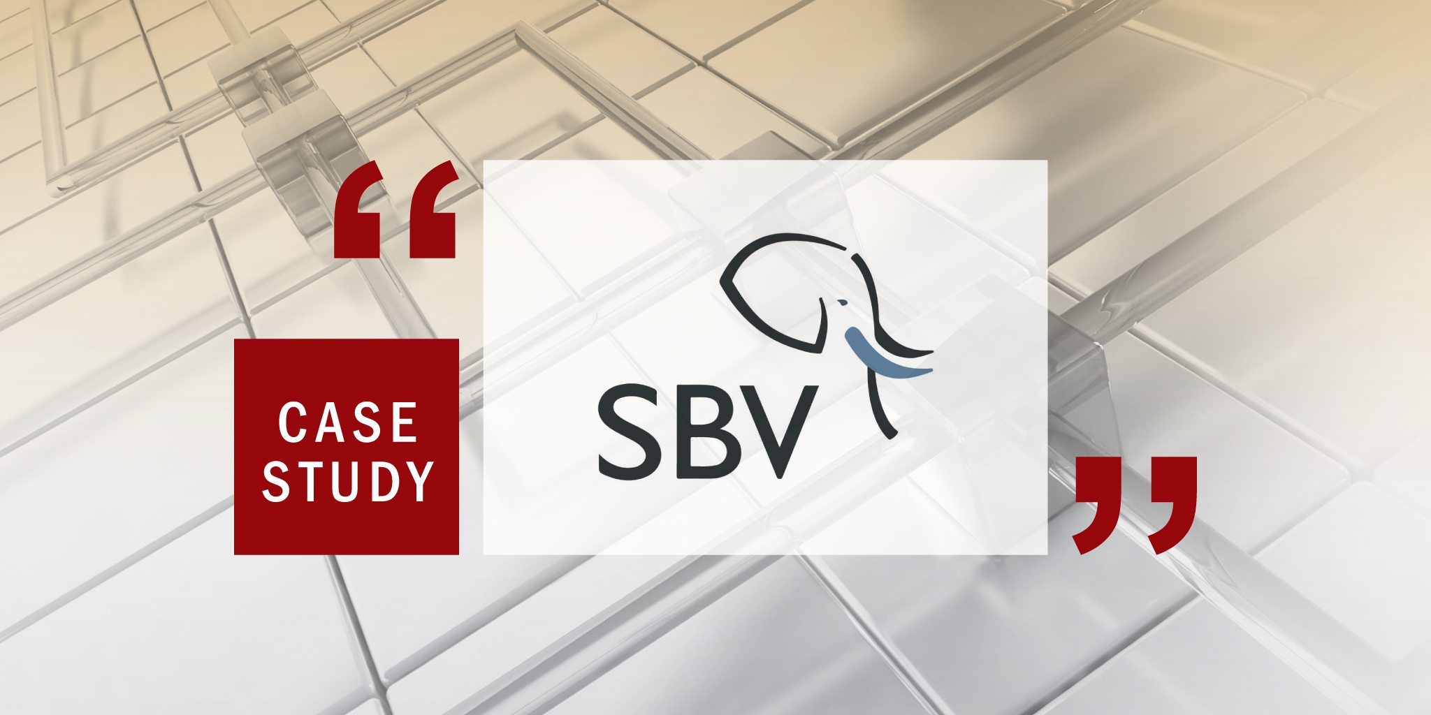 Case Study SBV Services