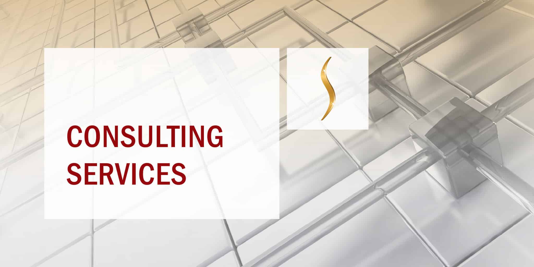 Consulting Services