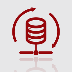 Database Administration and Support Service Icon Database Administration and Support Service Icon