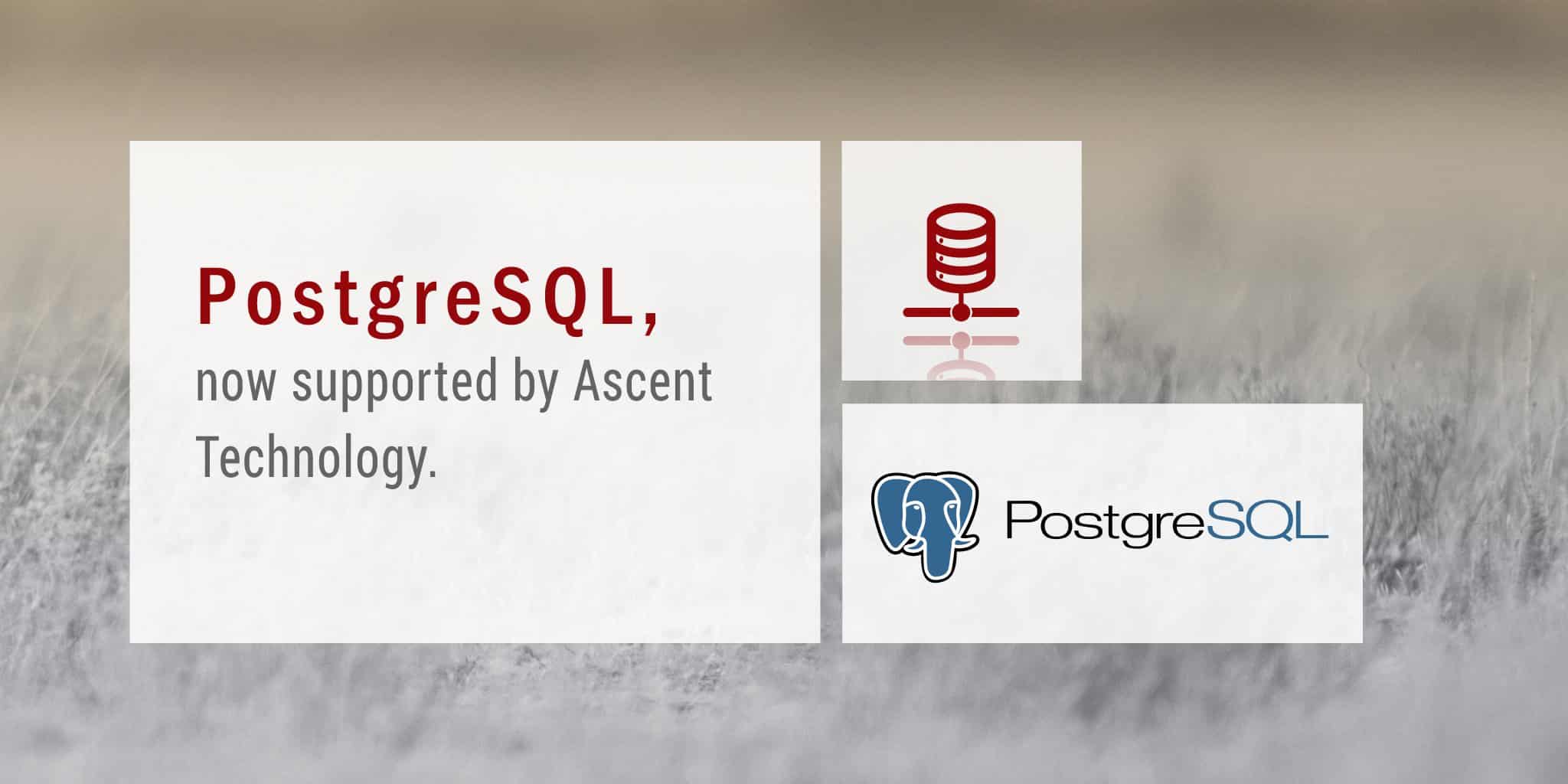 PostgreSQL